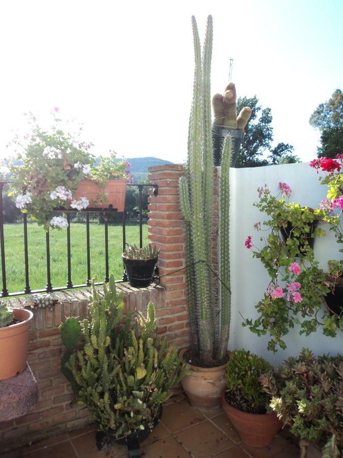 Apartamentos Las Juanas El Bosque Luaran gambar